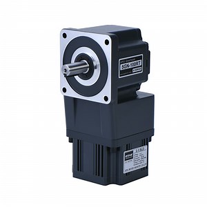 [Hot Item] DC Motor CE genehmigt 10W-1500W bürstenloser BLDC Motor