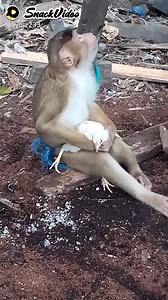 2.8M views · 10K reactions | Rekam video, dapat rejeki | Snack-ID-2 | Facebook