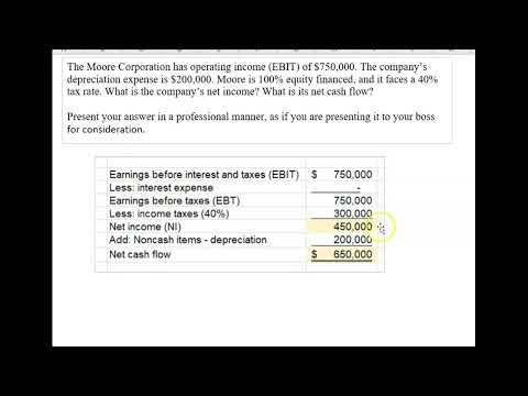 Calculate net income and net cash flow