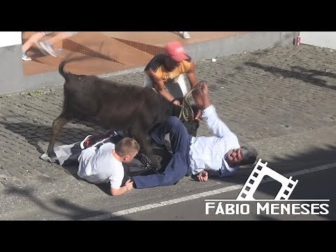 SÓ MARRADAS & APANHADOS da Bezerrada das Lajes 2017