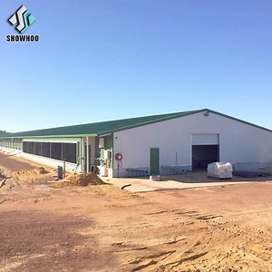 [Hot Item] Prefab Steel Frame Poultry Farming Service System Computerised Chicken House