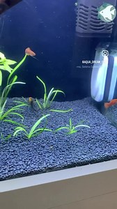 1.7K views · 80 reactions |  Installation d’un aquarium chez un client satisfait  Pour plus d’informations contactez nous par message ou au 0673865237  D’autres modèles en 60-80-100-120 cm sont disponibles | Aqua Dream | Facebook
