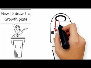 Basic sciences - Growth plate layers