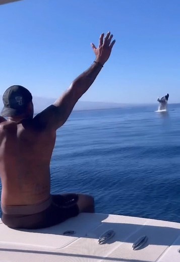 Whale Blows Shell, Then This Happens! 😳
