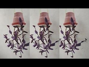 How to make Inverted plant pot | Upside down hanging planter | Sky planter