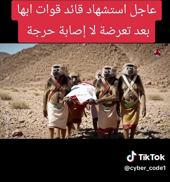 CyberCode | سايبركود على TikTok