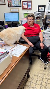 10K views · 250 reactions | We heard you loud and clear. Last Friday, many of you shared your concerns that Richard was not getting fair treatment when it comes to the dispensing of Temptations Cat Treats. Here is your proof that Richard is still being pampered! | Trumann Animal Clinic | Facebook