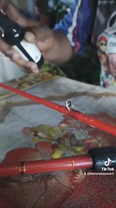 #reelservice #fishingreel #fypシ #servisreel #drclear88 #drclear99 #reelgeargrease #servismesinpancing #s1monsterbait #s2monsterbait #rof4reelbearingoil #bearingoil #rgf3reelgeargrease #baitcaster #daiwafishing #fishinglife #umpanmatsumoto #pancing #mancingmania | Team Matsumoto | Facebook