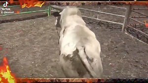 58 reactions · 11 shares | THIS SATURDAY SEPTEMBER 21 GREAT JARIPEO...