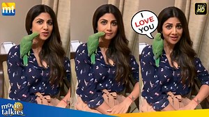 Parrot Kissing Shilpa Shetty For Saving His Life | Movie Talkies