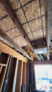 ✨Shower Envy✨ | Dallin Harris