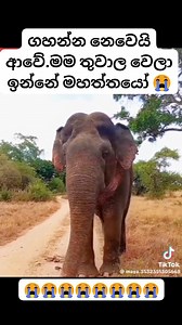 1.8M views · 10K reactions |  | Dinu Dinu | Facebook