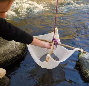 6.4K views · 18 reactions | Surviving the Wild: Easy Techniques for Hunting, Trapping, and Fishing | 5-Minute Crafts Green | Facebook