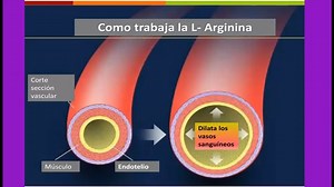 ¿Qué es y para qué sirve la L Arginina? Mantener un corazón sano es el regalo natural que nos trae la L Arginina y en combinación con frutos rojos beneficia desde el deportista a aquella persona de edad tanto en hombres como en mujeres Informes, promociones y pedidos wa.me/5491163635166#nutricionnatura l #bienestarysalud #saludmental #productosnaturales #forever #Larginina #frutosrojos | Dr. Eduardo Litvachkes
