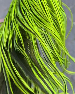 1.4K views · 21 reactions | Ifs own brand Chartreuse genetic badger cock saddle £40. Or £25.99 for a half saddle. https://irish-fly-supplies.square.site/shop/ifs-own-brand-genetic-cock-saddles/221?page=1&limit=30&sort_by=category_order&sort_order=asc | Irish Fly Supplies Ltd | Facebook