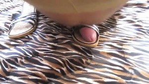 Cocoon Pantyhose Humping Stocking Cumshots X28