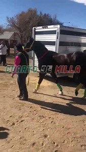 29K views · 21 shares | El Pancho Villa de Cuadra Santa Maria nomas esperando que se llegue la hora pa toparse encontra de El Duvalin! Estaremos transmitiendo En Vivo! | Cuarto de Milla | Facebook