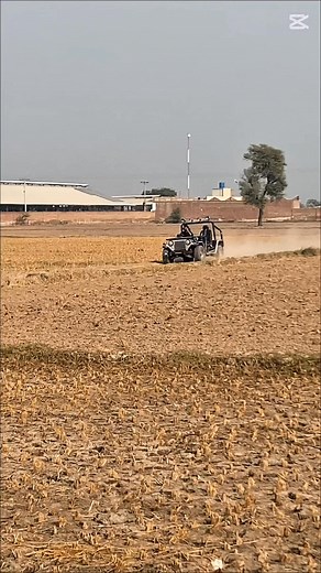 MASHALLAH first ride Home breed MARE 🤎🐎 | Sardar Umer Tariq Beguka