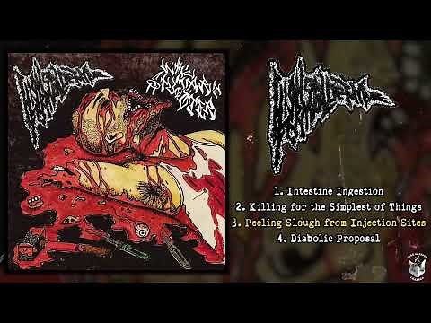 High On Formaldehyde - splt w/ Wvlmvrt Shooter (2025 - Goregrind)
