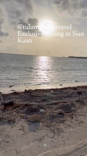 Exclusive fishing destinations by Manuel Caballito Rodriguez #tulumambassador #tulumdivingtravel #localexpertnativeguide #yucatandivingtravel | Tulum Diving & Travel | Facebook