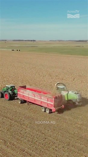 The Domai Direct Cut head features a floating frame with wheels on bearings, creating a solid frame.