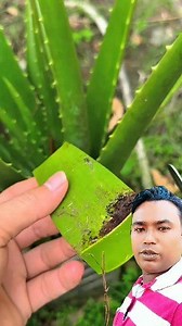 145K views · 454 reactions | #ukreels #usareels #unitedkingdom #vairalpost #fypシ #fypシ゚viralシfypシ゚ #others #reelsfypシ #uk | Mofijoll Islam | Facebook