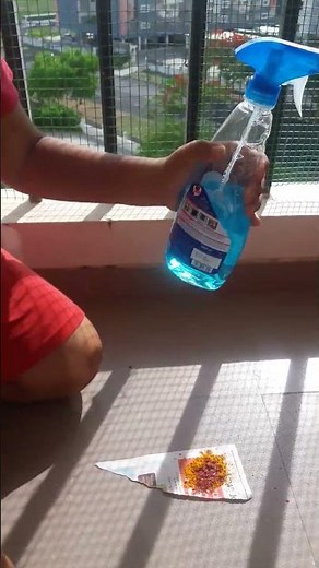 Turmeric as an Indicator experiment Magic 👇