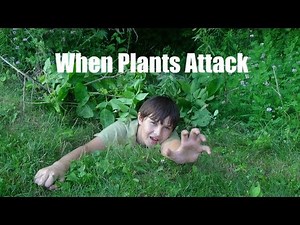When Plants Attack! Trailer