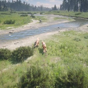 2.3K views | Donkey impossible escape from tigers | Indian Gamer DT | Facebook