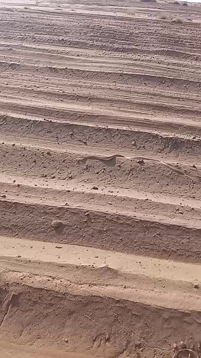 Explore the Snake's Journey in Desert Terrain