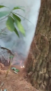 Un incendio forestal consume el Parque Nacional Irazú, en el sector de Prusia. Más de una hectárea ha sido consumida. El Área de Conservación Central despliega un operativo para combatir el siniestro, que inició la tarde de este martes Santo. | Trece Noticias