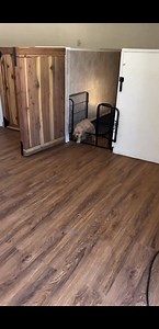 � Adult Labrador Retrievers Available – Knowledgeable Homes Preferred We currently have adult Labrador Retrievers available for placement with experienced and responsible adopters. These dogs are ideal for households that value a calm, loyal, and well-mannered companion. Adult Dog Highlights: • Veterinary health evaluations completed • Calm, friendly, and people-focused temperament • Accustomed to household routines and human interaction • Health records provided • Perfect for adopters with prio