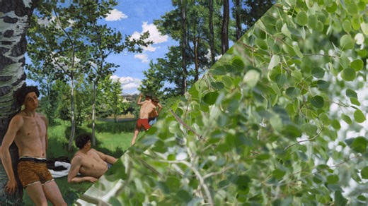 Arb/Art Double Take: Poplars & Bazille’s Bathers - Arnold Arboretum