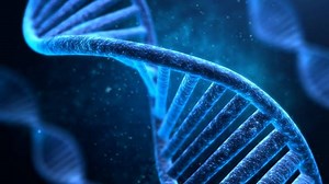 42K views · 11 comments | What if you could find your ideal mate by...