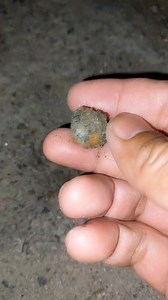 1.1K views | Found a dragon ball  #goldhunting #golddetector #iron | GO finder | Facebook