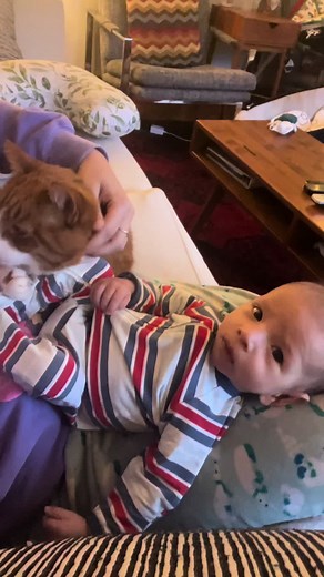 HollisFuneralHome on TikTok