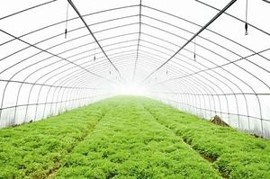 [Hot Item] PVC Home Grown Family Gardening Hydroponic Facility for Leafy Vegetables