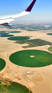  Wow! The irrigation technology of desert farms! #DesertFarms #IrrigationTech | Xiao Chen | Facebook
