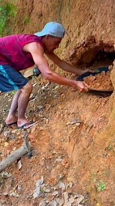 14K views · 181 reactions | Digging for gold nuggets in the ground, this young man discovered something unexpected #diggingforgold #goldnuggets #goldnuggetintheground #golddiscobered #unexpecteddiscovery #discoveryofgoldnuggets #foundgold #foundgoldnuggets #goldpanning #goldmining #golddiscovery #goldprospecting #goldhunter #goldrush #goldriver | Nepri Andries | Facebook