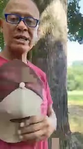 4.5K views · 59 reactions | Neal McCoy Multi-Platinum Country Artist on Reels | Facebook