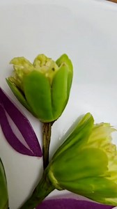 Linda decoração pra você enfeitar seus pratos! . . . #buffet #saladas #arteemfrutaselegumes #viralpost #viralreels | Chef Marta Thompson