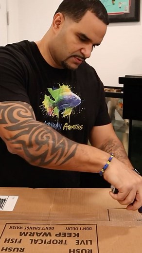 3.2K views · 49 reactions | The 150G Severum tank is now complete...