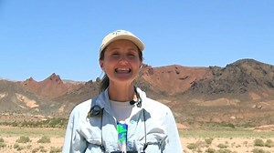 As an Environmental Biologist, Debbie helps protect our primary drinking water source by maintaining a balance between engineering activities and wildlife at the Las Vegas Wash. | Southern Nevada Water Authority | Facebook