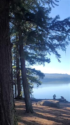 Odell Lake en Sunriver, Oregon. #WHIV #FYP #Oregon #lake #nature #travel #forest #outdoor | What Happens In Vegas-Oficial