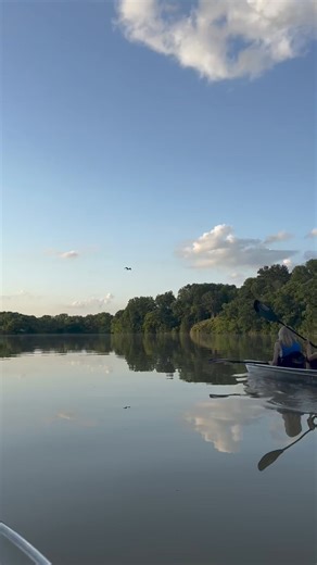 5.1K views · 18 reactions | Don’t forget to pack your binoculars when you paddle with us on Old Hickory Lake | Get Up And Go Kayaking | Facebook