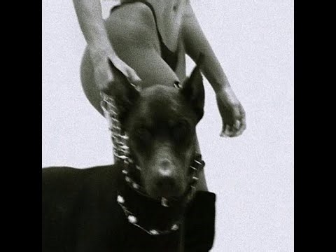 [FREE] ASAP ROCKY x ASAP FERG TYPE BEAT 2025 ~ BOILED │ Free Hard Trap Beat 2025