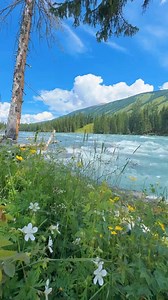 Random Ideas on Reels