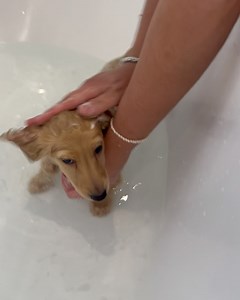 16K views · 246 reactions | Christian Meier on Reels | Facebook