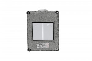 [Hot Item] Advanced Explosion-Proof Wall Switch for Oil and Gas Industries
