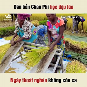 Bà con chăm chỉ ắt có ngày ấm no --------------- Nguồn: Linh Philip Vlogs - Cuộc Sống ở Châu Phi © Bản quyền được bảo vệ và quản lý bởi WeNew. #WeNew #nguoivietochauphi #LinhPhilip #CuocsongoChauPhi #NWT #LPV | Người Việt Ở Châu Phi